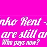 Pinko Rent a Rioters still around
