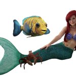 live action fairy tail