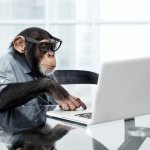 Do the thing monkey