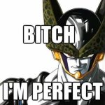 Bitch I'm perfect