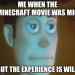 disappointed woody | ME WHEN THE MINECRAFT MOVIE WAS MID; BUT THE EXPERIENCE IS WILD | image tagged in disappointed woody | made w/ Imgflip meme maker