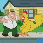 Peter vs chicken