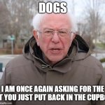 Dog memes | DOGS; I AM ONCE AGAIN ASKING FOR THE TREAT YOU JUST PUT BACK IN THE CUPBOARD | image tagged in bernie sanders once again asking,dogs | made w/ Imgflip meme maker