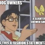dogs + shoes =? | DOG OWNERS; A SLIGHTLY CHEWED SHOE; IS THIS A FASHION STATEMENT? | image tagged in is this butterfly | made w/ Imgflip meme maker