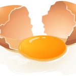 Broken egg