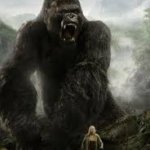 Gorilla
