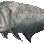 Cheirolepis (FMM UV-32)