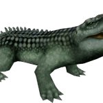Allodaposuchus (FMM UV-32)