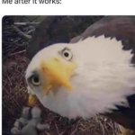 You were saying meme
