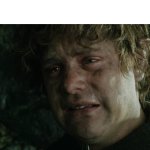 _m4 apr oct w1 - 11 - The Lord of the Rings Pippin pain