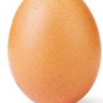 The egg