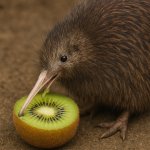 Kiwi cannibalism but AI
