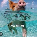 Pig water beach