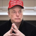 Elon hat
