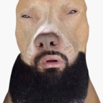 Lightskin dog