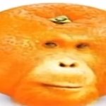 Duality of Man template