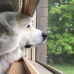 When will my husband return from war?