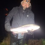 Dicker Fisch