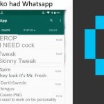 If Neko had whatsapp updated