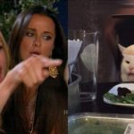 Karen vs. Trumpy Cat