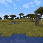 Minecraft Landscape