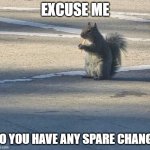 Squirrel begging | EXCUSE ME; DO YOU HAVE ANY SPARE CHANGE | image tagged in squirrel,funny | made w/ Imgflip meme maker
