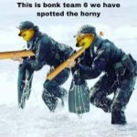 bonk team 6