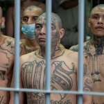Latin Gang Members (Tattooed)