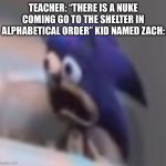 RIP zach | TEACHER: “THERE IS A NUKE COMING GO TO THE SHELTER IN ALPHABETICAL ORDER” KID NAMED ZACH: | image tagged in traumatised sonic | made w/ Imgflip meme maker