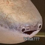 What??? meme