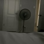 Cat appear | image tagged in gifs,cat | made w/ Imgflip video-to-gif maker