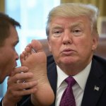 Donald Trump toe sucker