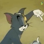 Tom GIF Template