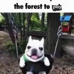 lets be entirely clear GIF Template