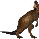 Corythosaurus (FMM UV-32)