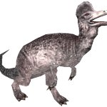 Albino Corythosaurus (FMM UV-32)