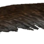 Teratornis (FMM UV-32)