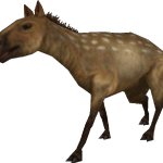 Eohippus (FMM UV-32)