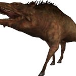 Entelodon (FMM UV-32)