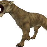 Barbourofelis (FMM UV-32)