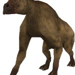 Ancylotherium (FMM UV-32)