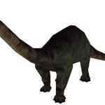 Apatosaurus (FMM UV-32)