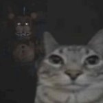 Cat is cooked by Freddy