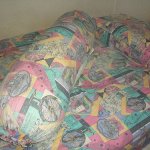 One of these is a bolster