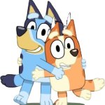 bingo bluey