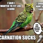 Wrong body dilemma | I SAID I WANTED TO FLY LIKE 
A BIRD; I SHOULD 
HAVE SAID 
EAGLE; YOUR LUCKY LOOK WHAT HAPPENED 
TO ME; REINCARNATION SUCKS | image tagged in tiger bird,memes | made w/ Imgflip meme maker