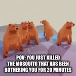BZZZZZZZZZZZZZ | POV; YOU JUST KILLED THE MOSQUITO THAT HAS BEEN BOTHERING YOU FOR 20 MINUTES | image tagged in gifs,memes | made w/ Imgflip video-to-gif maker