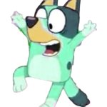 Kkuity Nyltick