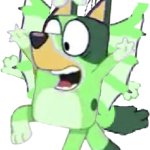 Freddie Schrödinger