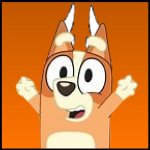 bingo icon